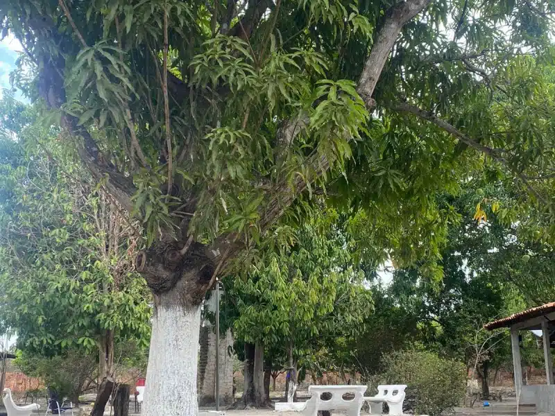 ClÍnica de Reabilitação em Chapadinha - MA 16