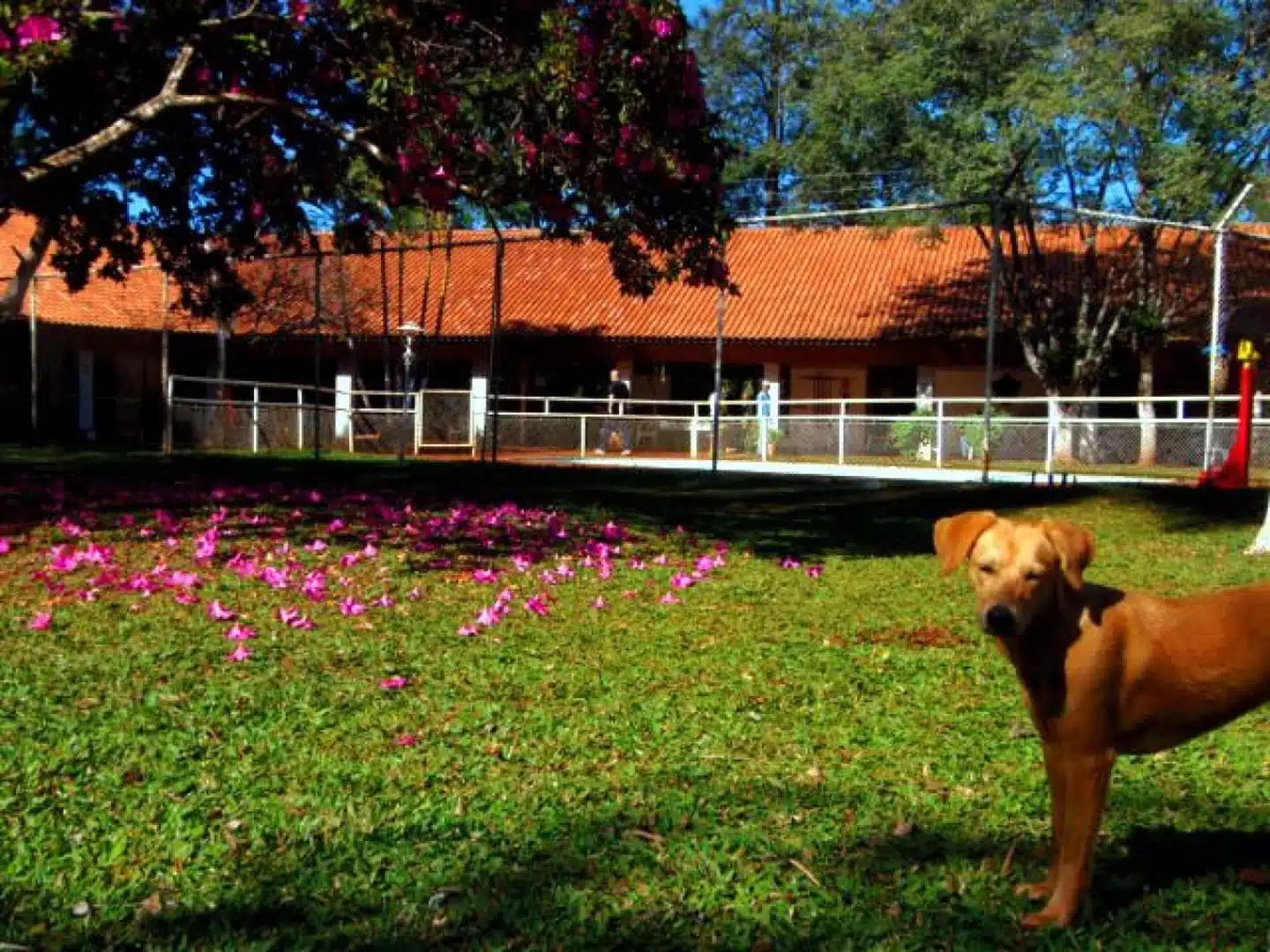 Clínica de Reabilitação em Cascavel - PR 10