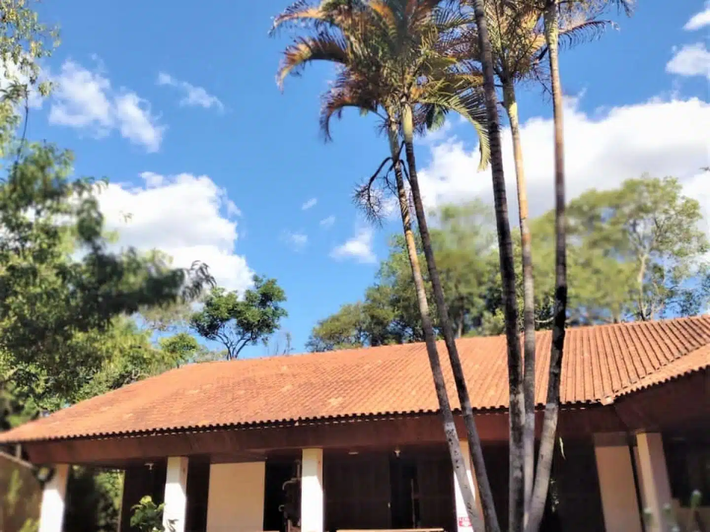 Clínica de Reabilitação em Cascavel - PR 15