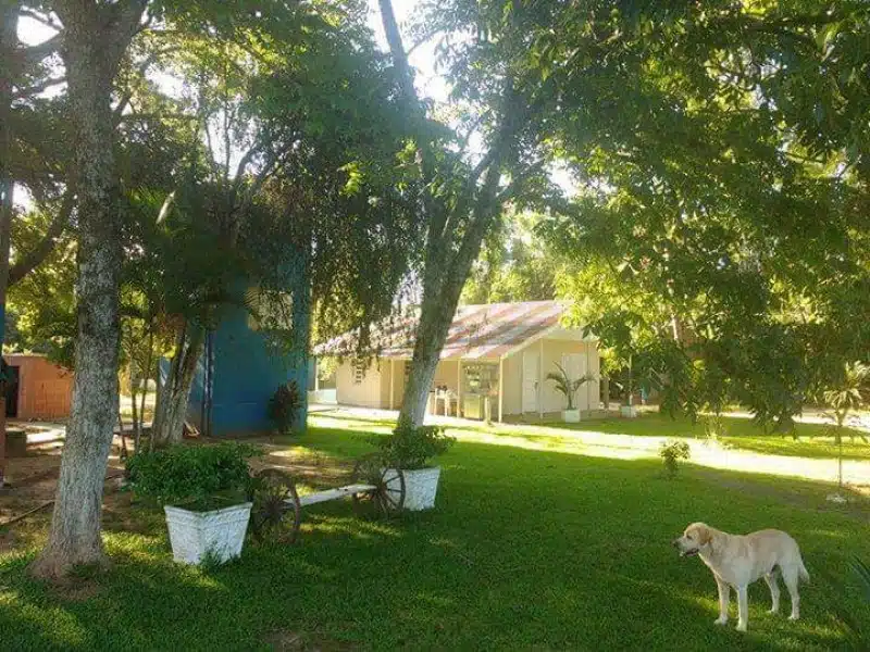 Clínica de Reabilitação em Gravataí - RS 14