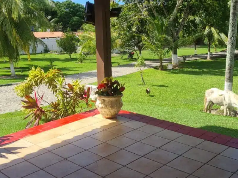 Clínica de Reabilitação em Monte Gordo - BA 38
