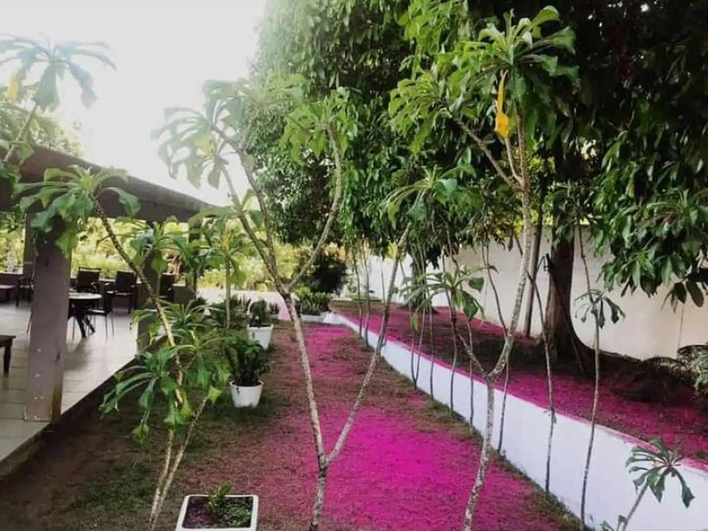 Clínica de Reabilitação em Recife - PE 16