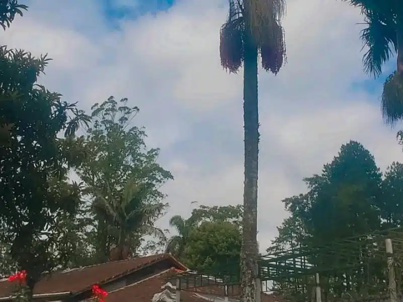 Clínica de Reabilitação Feminina em Parelheiros - SP 3 1