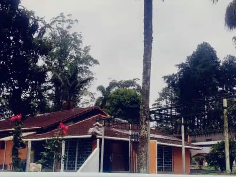 Clínica de Reabilitação Feminina em Parelheiros - SP 3 28