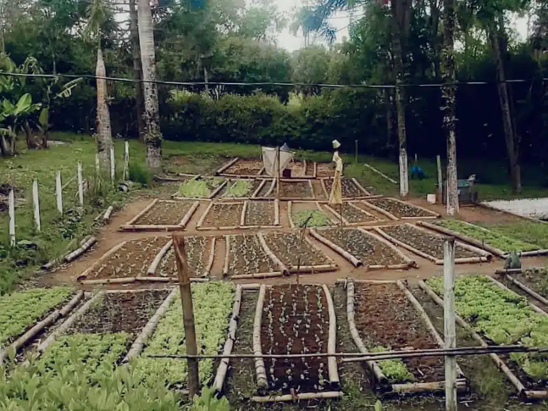 Clínica de Reabilitação Feminina em Parelheiros - SP 3 4