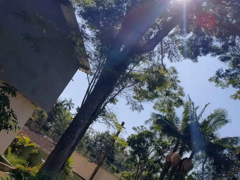 Clínica de Reabilitação Feminina em Parelheiros - SP 4