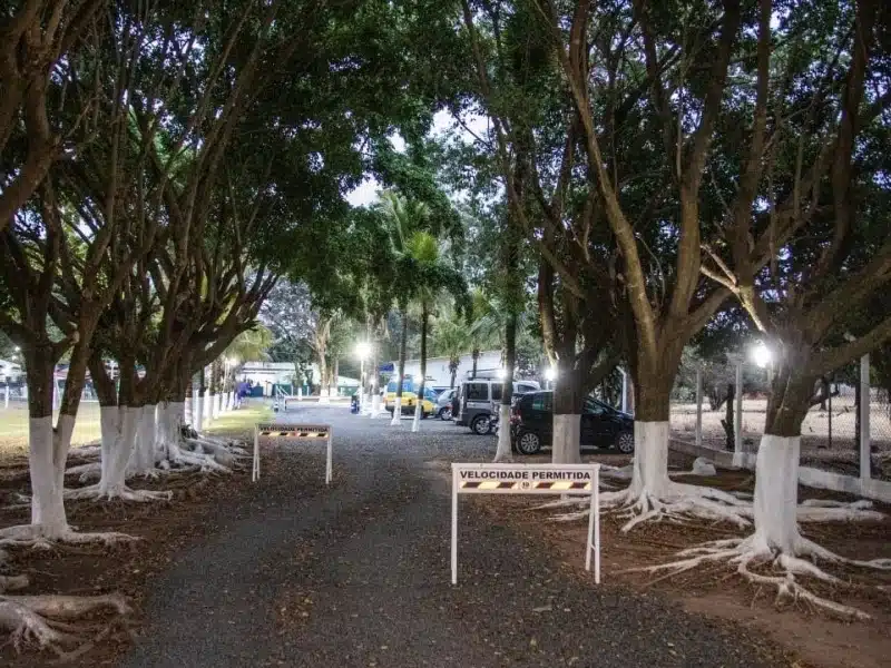Clínica de Reabilitação Masculina em Araçatuba - SP 23