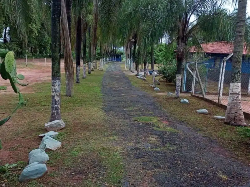 Clínica de Reabilitação Masculina em Fernandópolis - SP 14