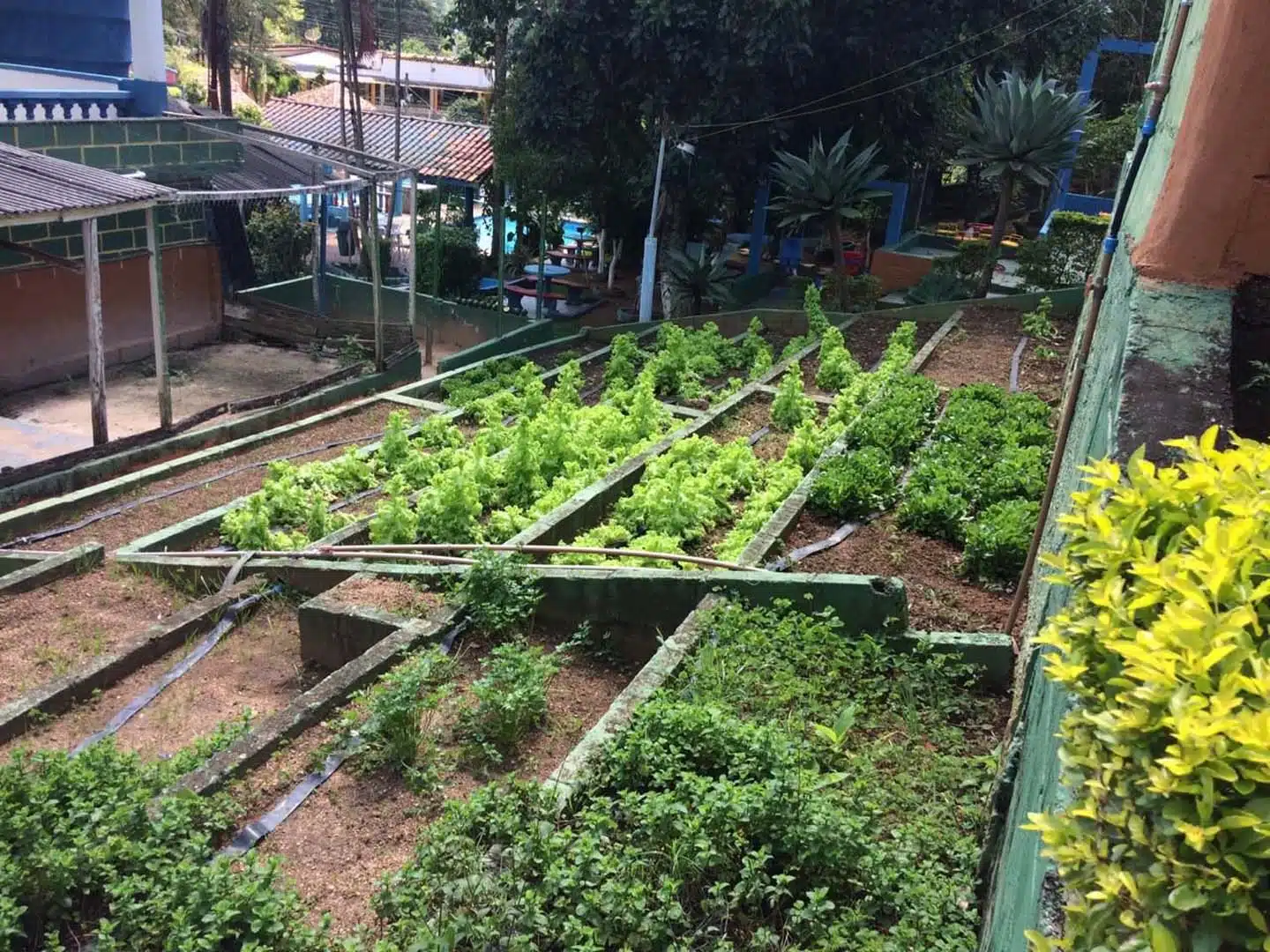 Clínica de Reabilitação Masculina em Itu - SP 2 8