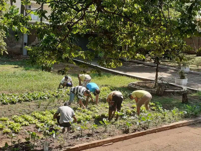 Clínica de Reabilitação Masculina em Limeira - SP 10