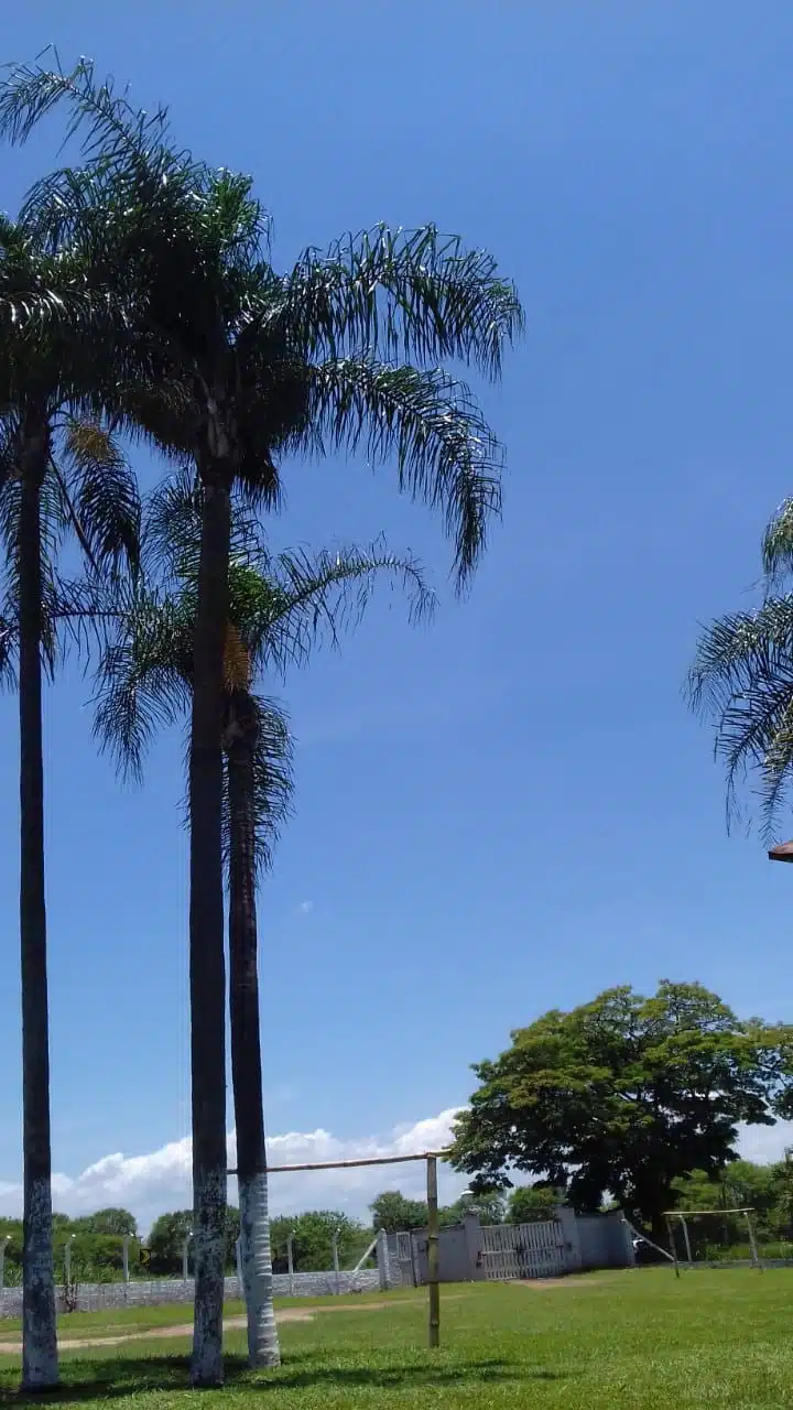 Clínica de Reabilitação Masculina em Piracicaba - SP 26