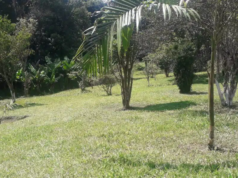 Clínica de Reabilitação Masculina em Rio Grande da Serra - SP 1