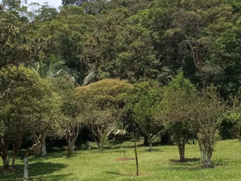 Clínica de Reabilitação Masculina em Rio Grande da Serra - SP 10