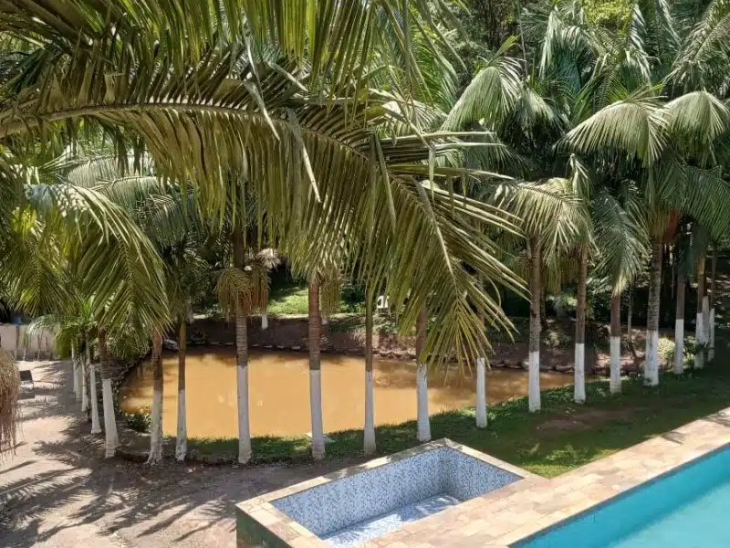 Clínica de Reabilitação Masculina em Rio Grande da Serra - SP 33