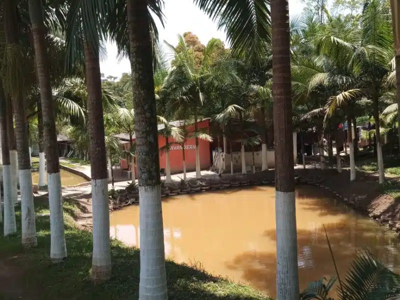 Clínica de Reabilitação Masculina em Rio Grande da Serra - SP 35