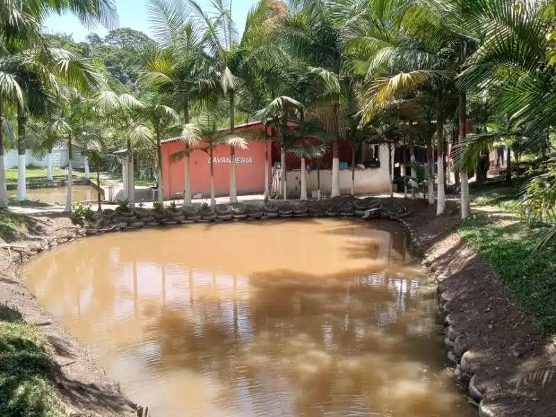 Clínica de Reabilitação Masculina em Rio Grande da Serra - SP 4