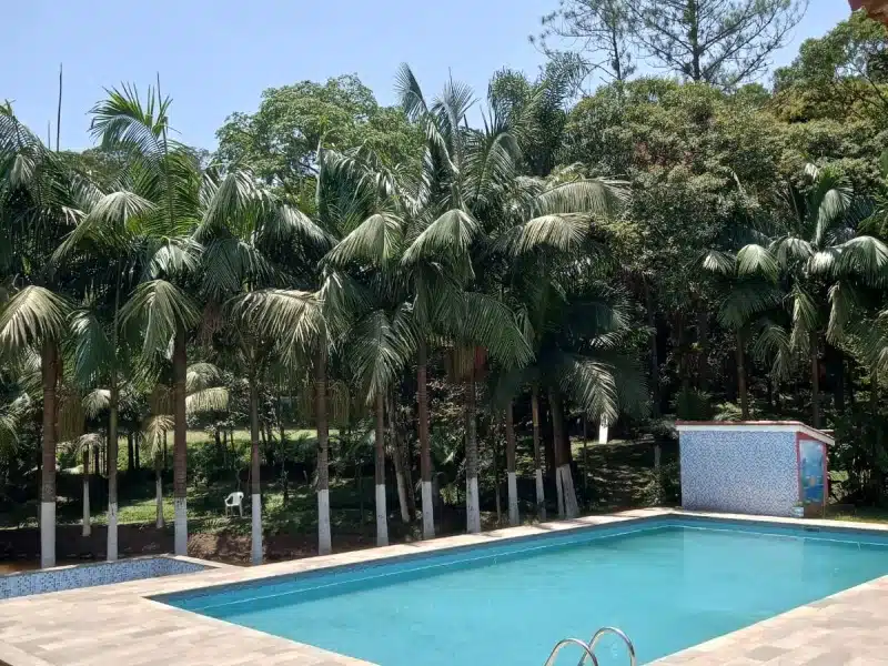 Clínica de Reabilitação Masculina em Rio Grande da Serra - SP 6