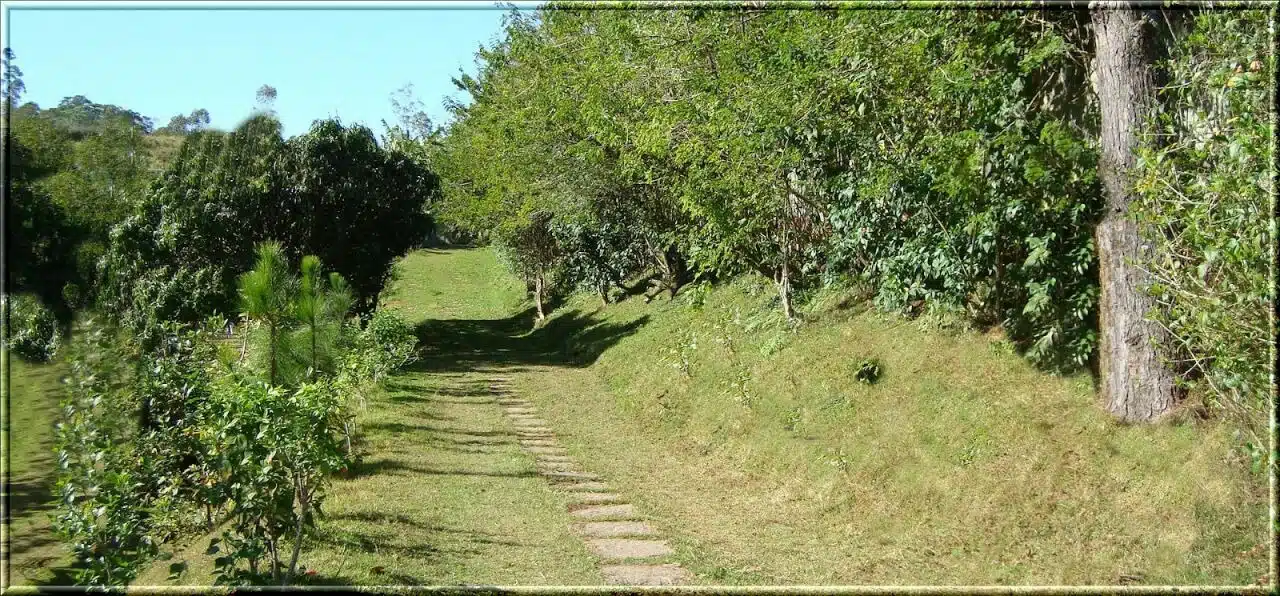Clínica de Reabilitação Masculina em Suzano - SP 2