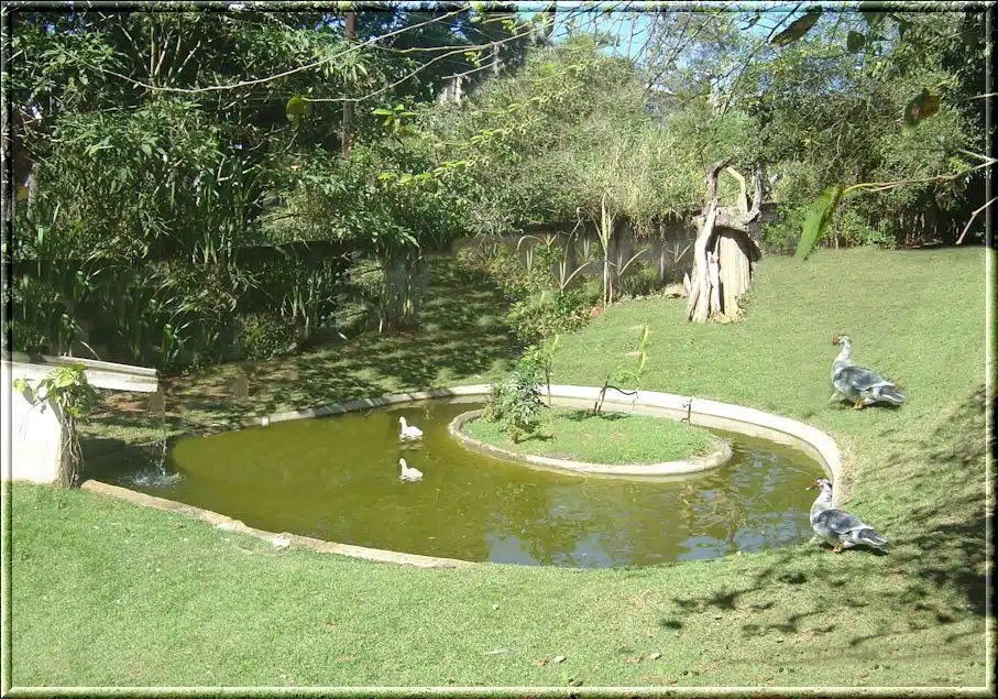 Clínica de Reabilitação Masculina em Suzano - SP 6