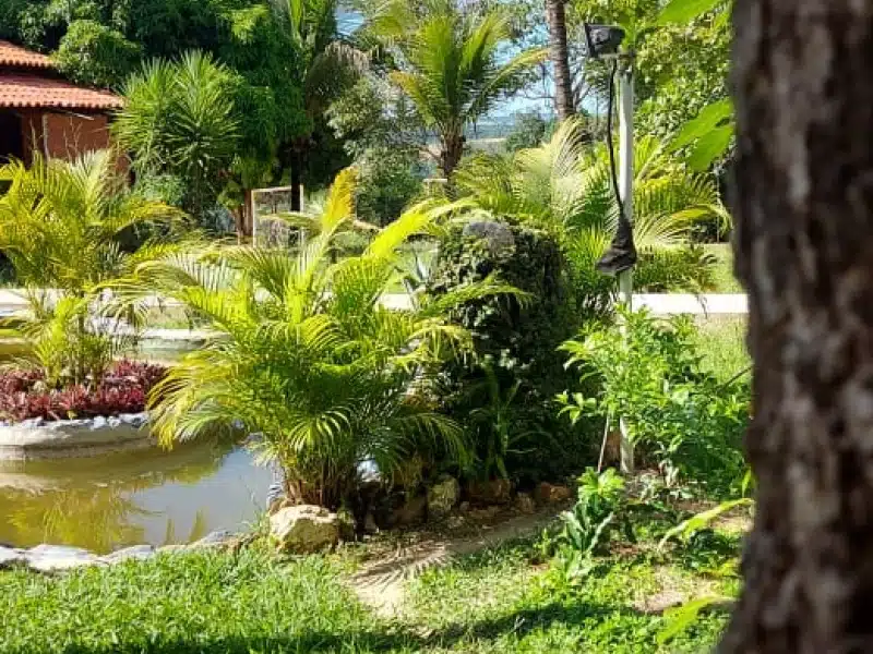 Clínica de Reabilitação Masculina pra Voluntários em Baldim - MG 5