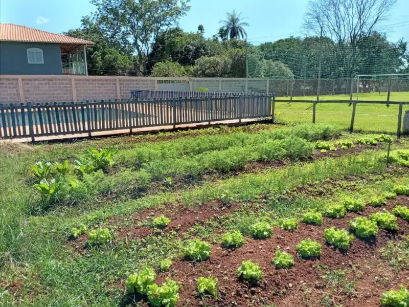 Clínica de Reabilitação em Anguereta - MG 26