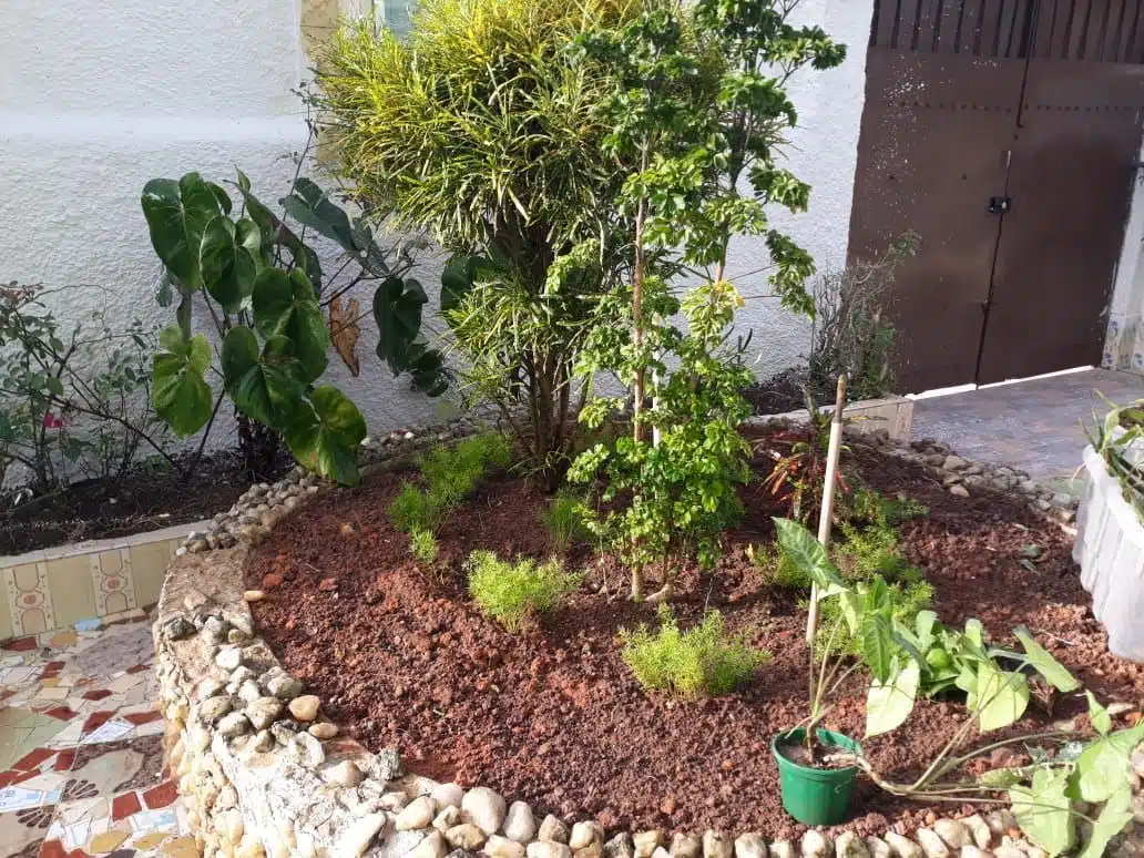 Clínica de Reabilitação em Guaratiba - RJ 8