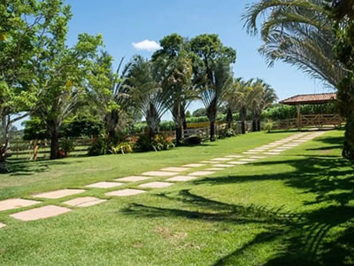 Clínica de Reabilitação em Igaratinga - MG 1