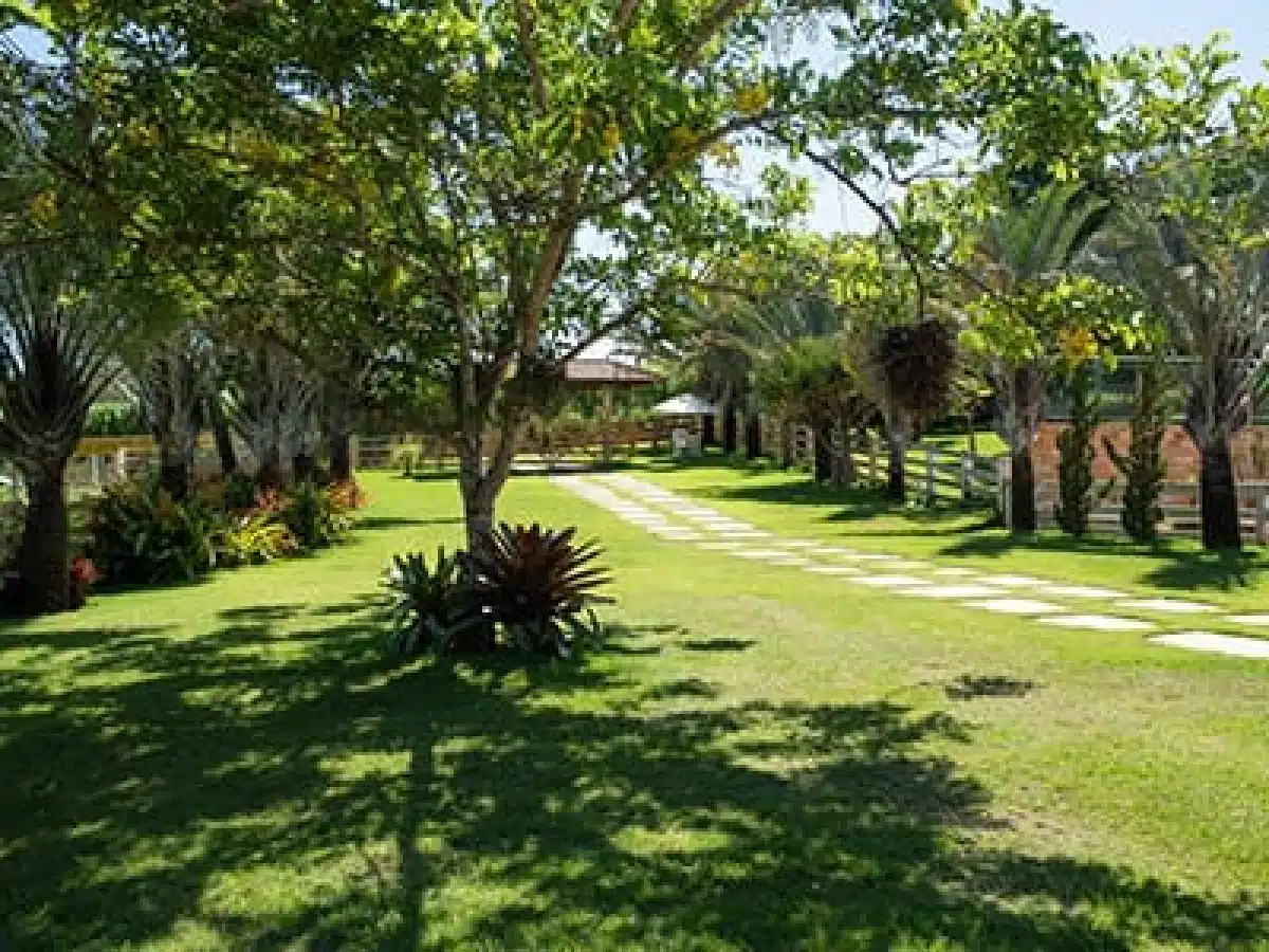 Clínica de Reabilitação em Igaratinga - MG 2