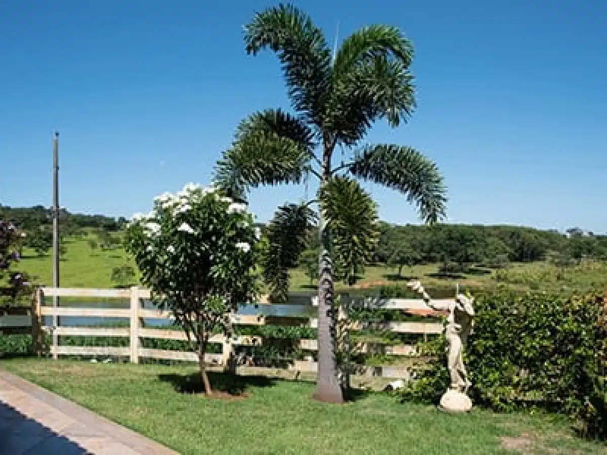 Clínica de Reabilitação em Igaratinga - MG 26