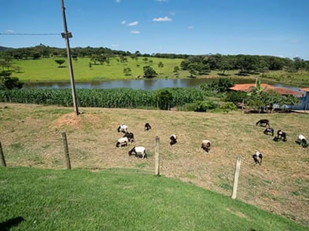 Clínica de Reabilitação em Igaratinga - MG 27