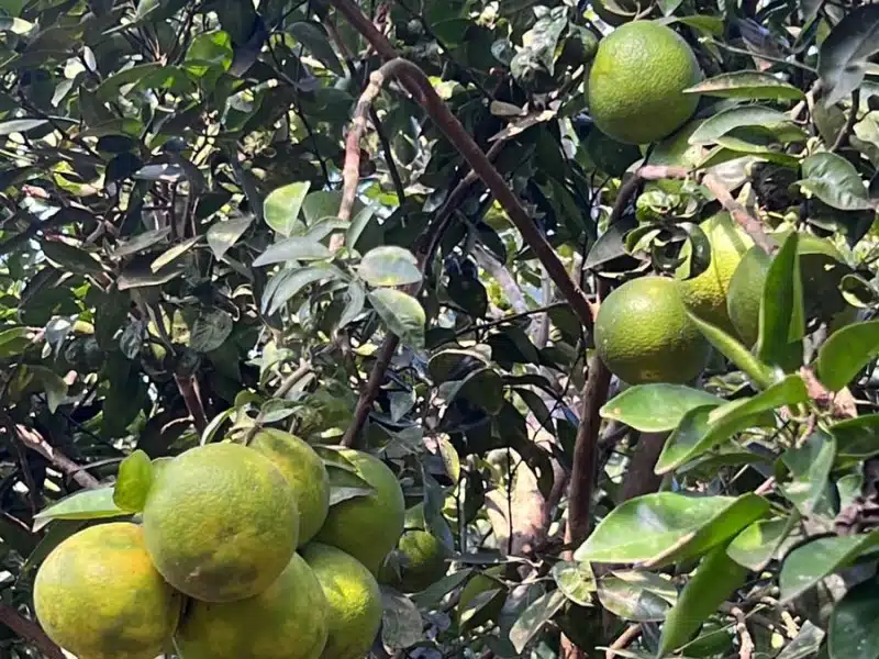 Clínica de Reabilitação em Itatiaiuçu - MG 1