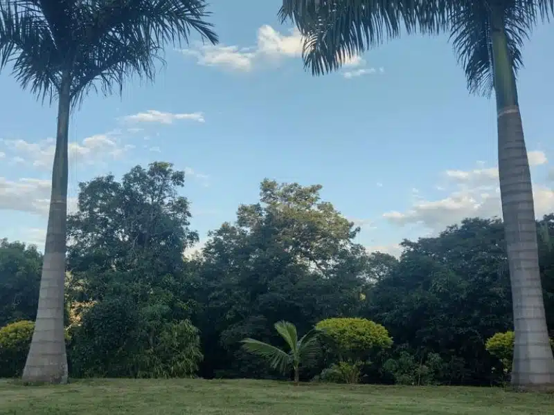 Clínica de Reabilitação em Itatiaiuçu - MG 10