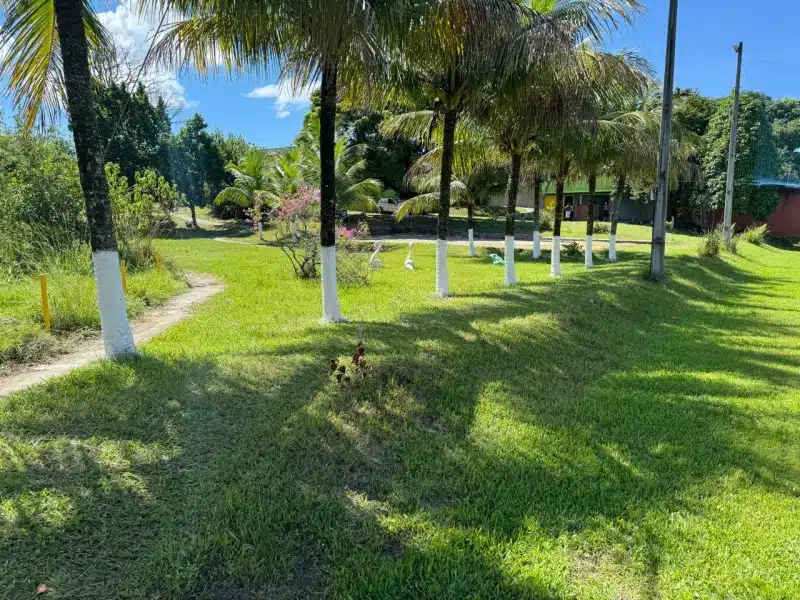 Clínica de Reabilitação em Tanguá - RJ 1