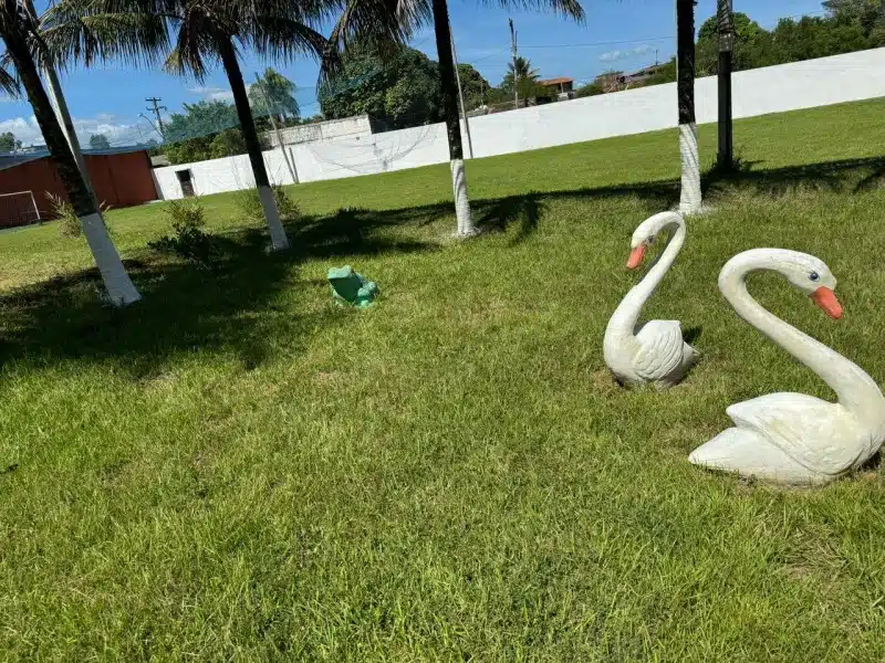 Clínica de Reabilitação em Tanguá - RJ 24